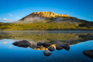 预约了科目一考试为什么一直在受理中