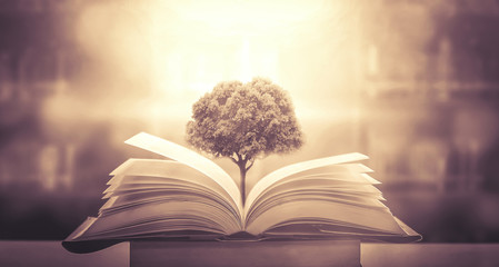 直行路口突然有车出来是谁的责任