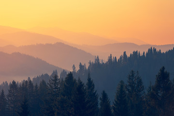 一次函数和正比例函数手抄报 数学比例手抄报