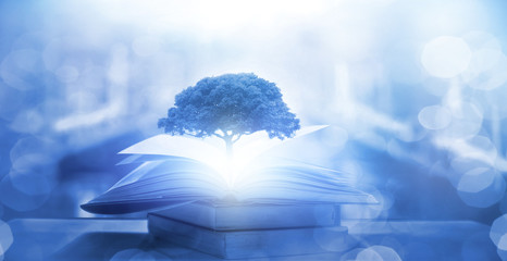 汽车防冻液加哪里