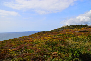 二年级数学口诀怎么写