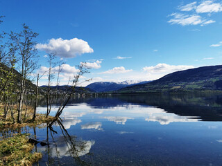 动物医学小动物医学方向