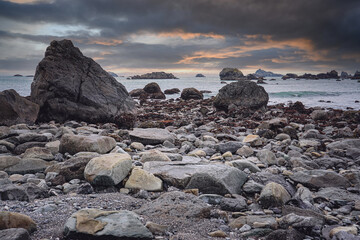 体育运动有哪些