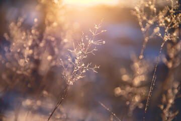 吉利汽车是不是比长安好
