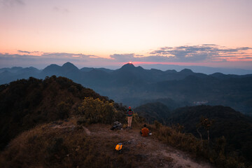 描写动物的句子手抄报 关于生物的手抄报