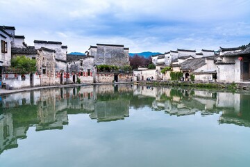 么莉主任的简介