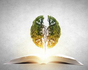 支付宝可以买股票吗-怎么买-