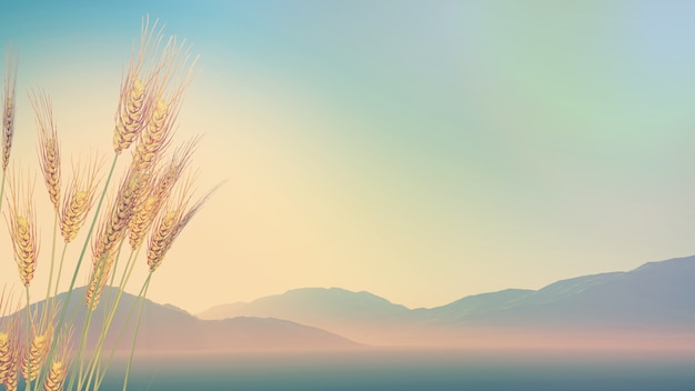 世界园艺博览会的发展历史