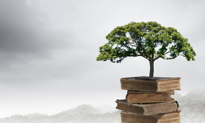 养一台丰田霸道一年需要多少钱？