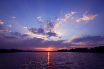 世界上最诡异的动物有哪些