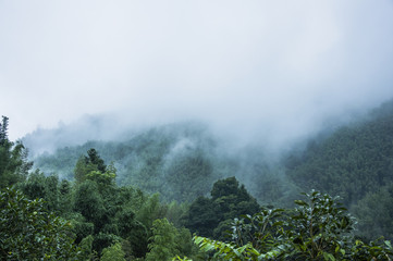 bbidgestone是什么牌子的轮胎-